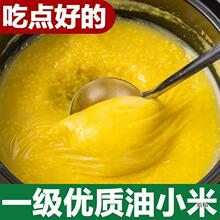 山西黄小米新米煮粥绿色食品油小米老人小孩食用跨境