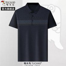 ��ľ�B2025�ļ���ʿ����T�����I�l�y�����̄����e�ְ��bPOLO����