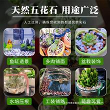 天然鹅卵石多肉铺面石子鱼缸造景底砂花盆栽装饰五彩色溪流石头子