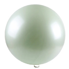 ë�q������đ �������đ