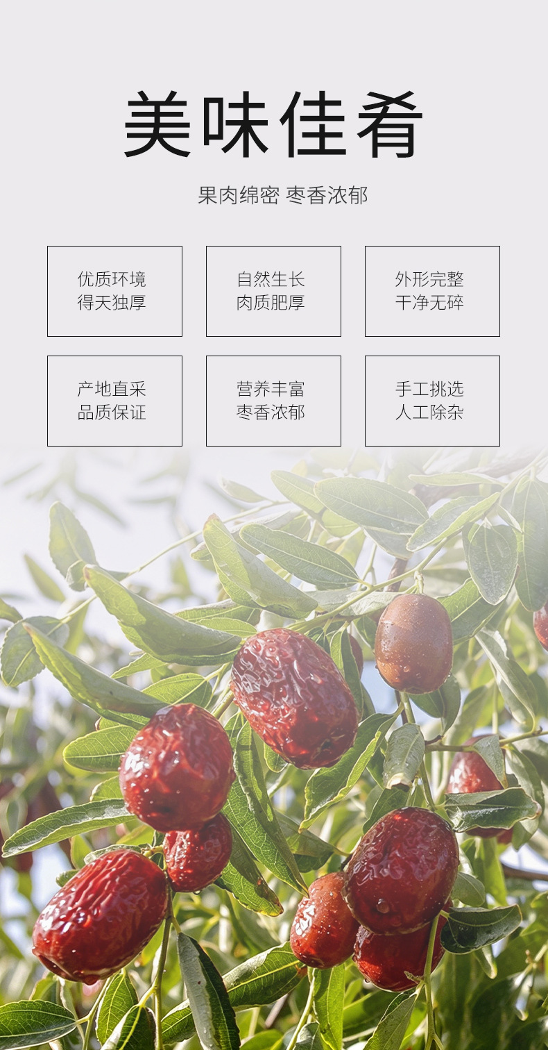 Dried Jujube Dates Sweet Soft Ready to Eat Red Dates 500g Bag key features