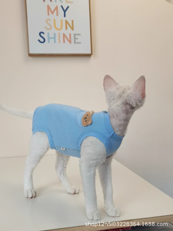 热销款猫咪舒适四脚衣多色透气无毛猫德文猫衣服可上wc免脱宠物服|undefined