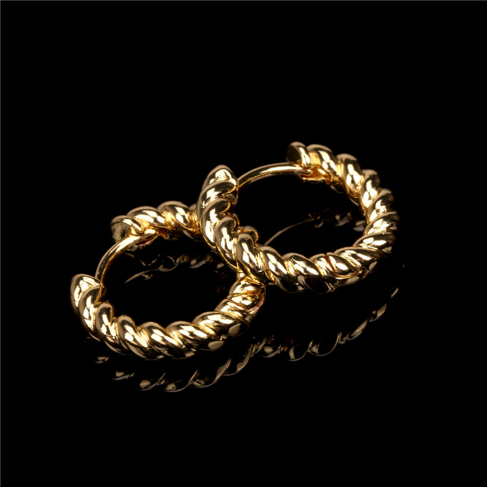 Retro Twist Spiral Geometric Metal Earrings display picture 7