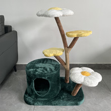 �羳����؈���؈�Ҿ߻����Fˇ؈��̨؈����