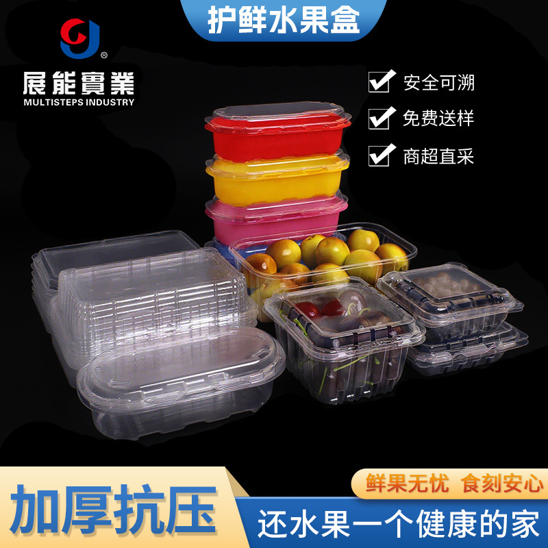Multisteps Disposable Fruit Packaging Box Transparent Fruit Cutting Box Food Grade Pet Thickened with Lid for Blueberries