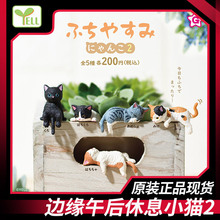 日本正版YELL 第2弹 边缘午后休息的猫咪扭蛋 三花猫橘猫潮玩摆件