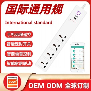 Graffiti scheme International General specifications smart plug Amazon Alexa global universal Jack Smart Plug