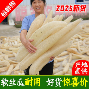 loofah natural loofah flesh wash pot wash dishes wipe the whole loofah flipping dishcloth daily general merchandise bath towel cross border