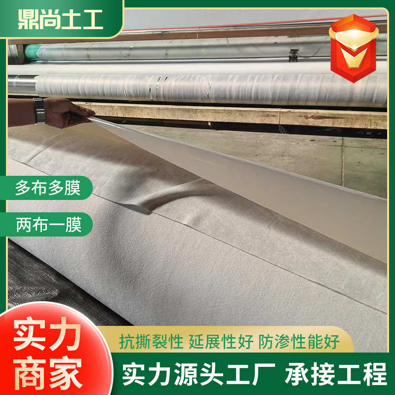 复合土工膜两布一膜水利工程防渗膜储油罐蓄水池防水复合土工膜