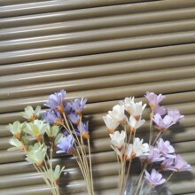 ���_�m�ɻ��ҾӲ廨�[�����ӻ������m�ֹ�������DIY�������ܾ���