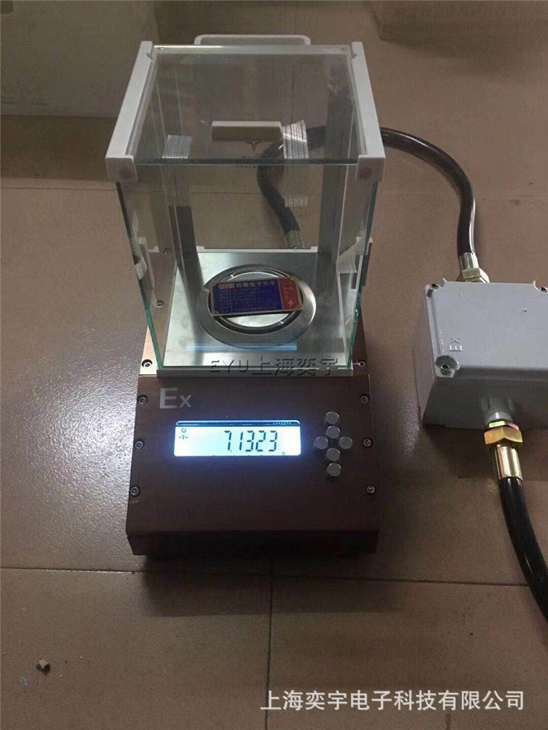 防爆电子秤
