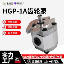 HGP齿轮泵HGP-1A-F1R/1A-F2R/F3R/F4R/F5R/F6R/F7R/F8R液压油泵