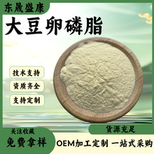 大豆卵磷脂大豆卵磷脂粉 乳化营养强化剂工厂现货供应 大豆蛋黄素