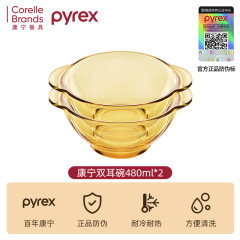 パイレックス コーニング ベリーガラス食器 家庭用ガラスボウル 高温耐性 フルーツサラダボウル ディナープレート 2点セット