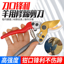 羊用修蹄钳剪刀修羊蹄子羊蹄修蹄剪养羊修蹄修蹄刀工具