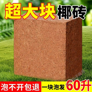 9���KҬ�u�I�B���B����Ҭ�Ӛ�����Ү�u�N������Ó�}Ҭ���u