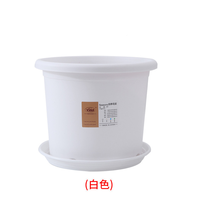 Maceta profunda con control de raíces para todo el año