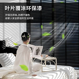 百叶窗帘;卷帘;布艺窗纱