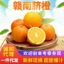赣南赣州到家品种脐橙