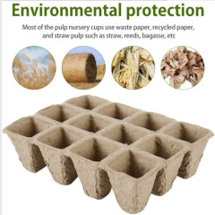 Cutting succulent 12-hole seedling box seedling tray disposable pulp cup nutrition bowl seedling transplanter label set