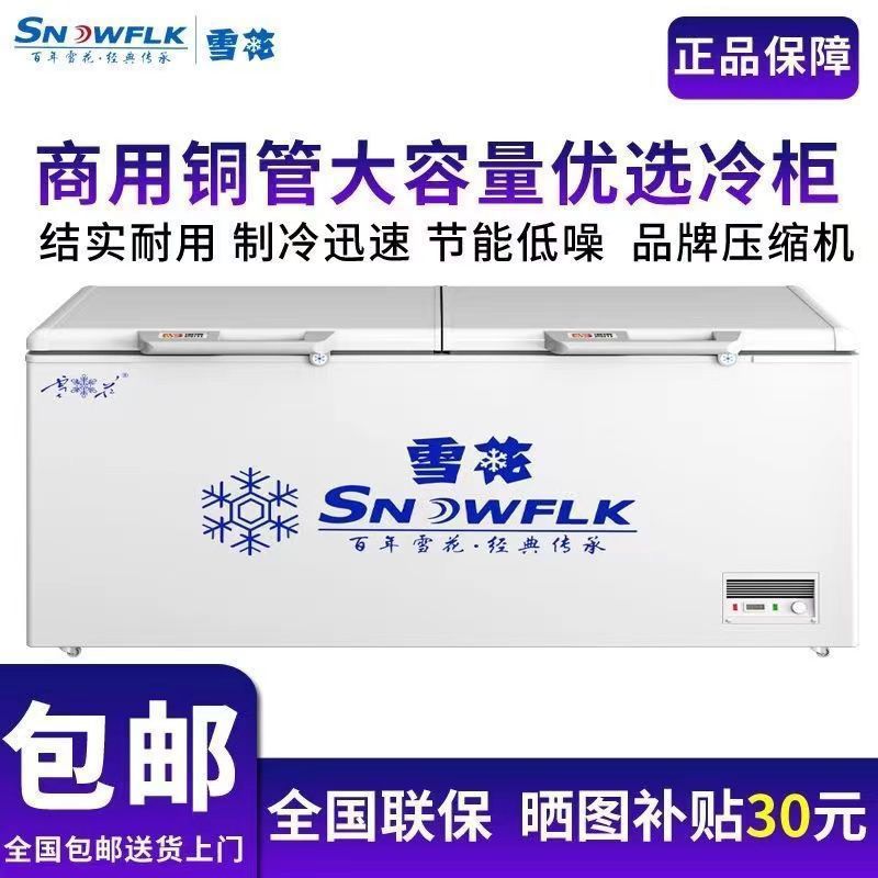 Snowflake Freezer Commercial Horizontal Large-Capacity Refrigerator Refrigeration and Freezing Energy-Saving Single and Double Temperature