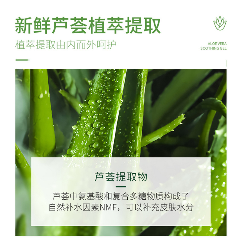 NHA Curaçao Aloe Vera Gel, Soothing, Repairing, Acne-Relieving, Hydrating Aloe Vera Cream Wholesale and Distribution