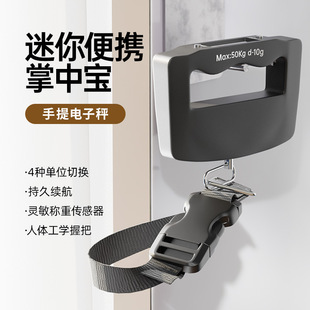 Portable Electronic Scale Portable Luggage Scale Hanging Scale Vegetable Spring Scale Selling Vegetable Weighing Hand-Carrying Express Scale Fishing Scale
