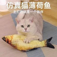 薄荷鱼毛绒猫玩具鱼逗猫仿真鱼猫咬薄荷鱼抱枕猫草猫零食猫咪用品