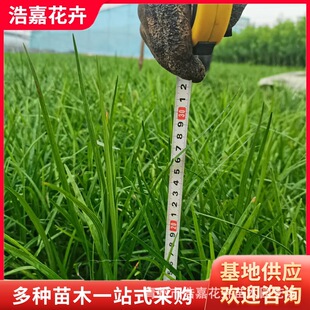 ���~������e��ͥԺ���^�����綬����ƺС�^��ľ��~������������