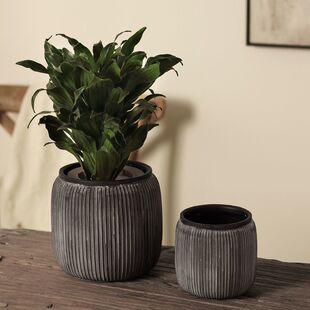 ����ʽ��ɫ�͹Ű׻�������L�͏d�����Gֲ������f����������ֵ