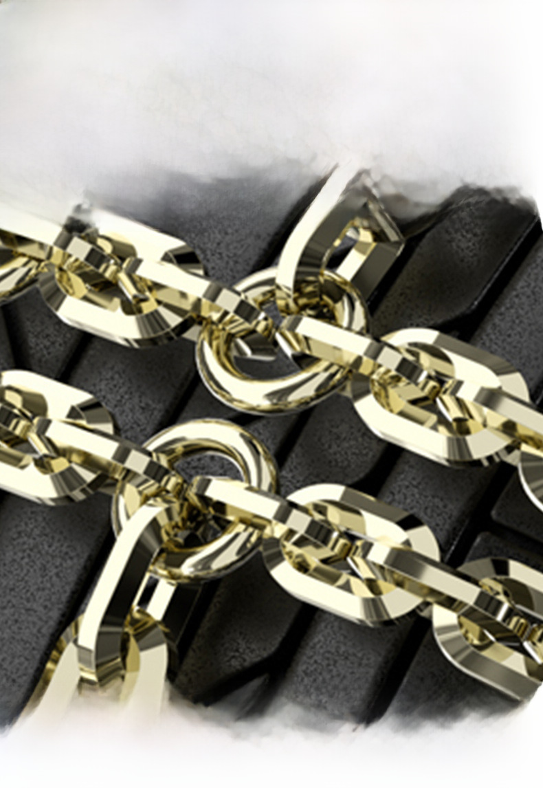 Tire Chain Image 4