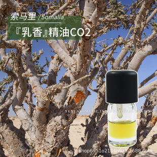 ���R��a�ؿ��������֬���R��CO2��ȡ����1ml�η�Wild���㾫��