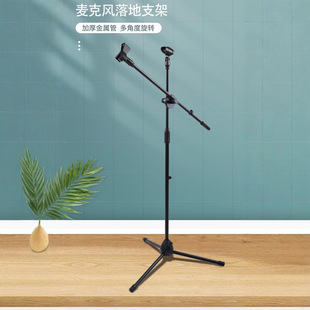 Floor Stand for Influencer Microphone, Mobile Karaoke Outdoor Stage Adjustable Boom Tripod