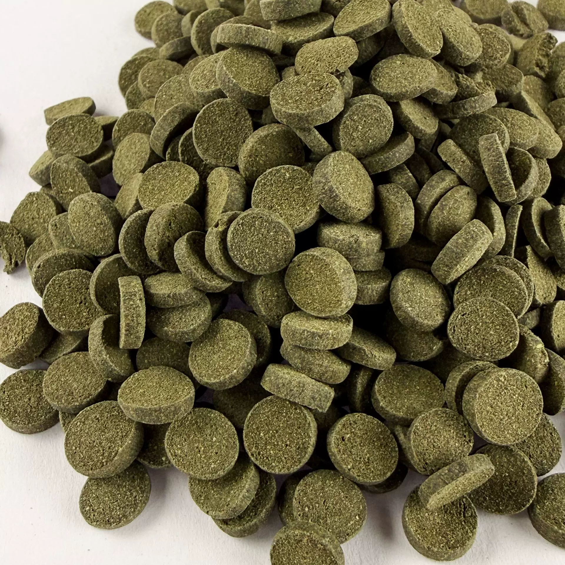 螺旋藻片 观赏鱼粮 异形鱼粮 底栖鱼贴片粮