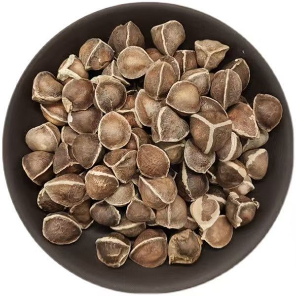 Moringa Seeds (Moringa oleifera) — La Mu Zi, Large-Grade Dried Food Herb, 500g specifications