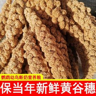 �¹�����ȻС�����W�^��ʳ���������B�Z�}��Z��϶�����쾰�b�