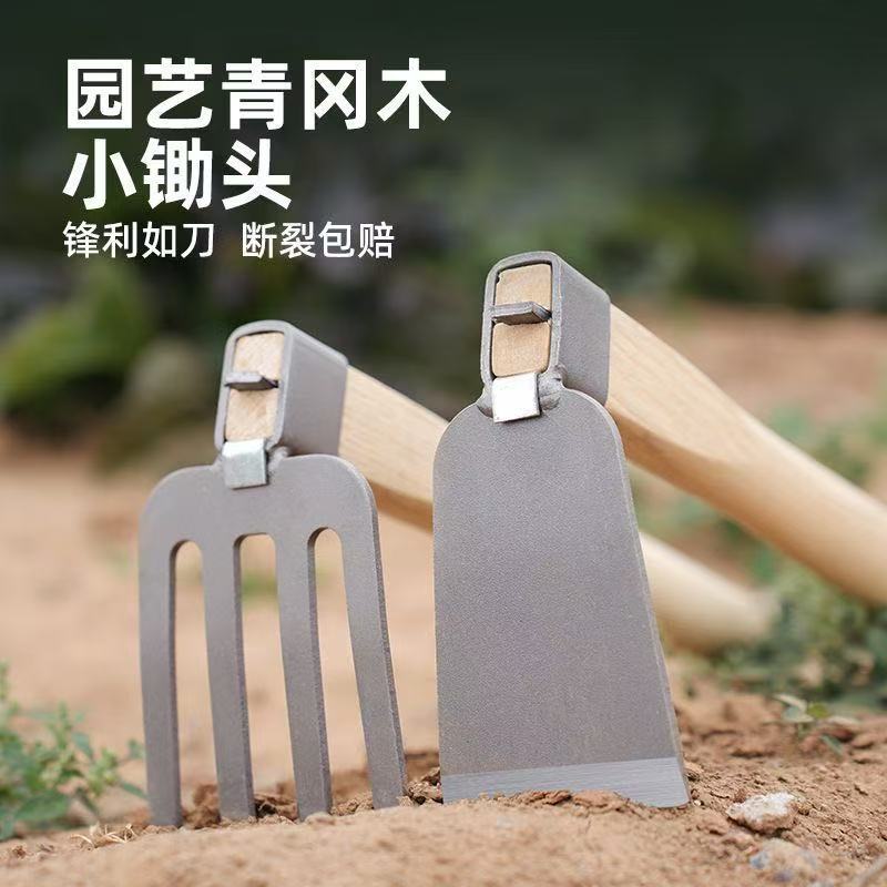 微信图片_202504231419393.jpg