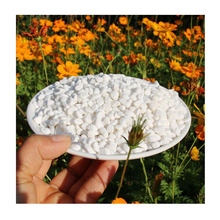 假花仿真鹅卵石彩色染色绘画小石头图片水冲天然鹅春石多少钱一吨