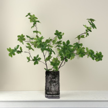 ʽR~ W֧ٻҾәbYûˇߘ