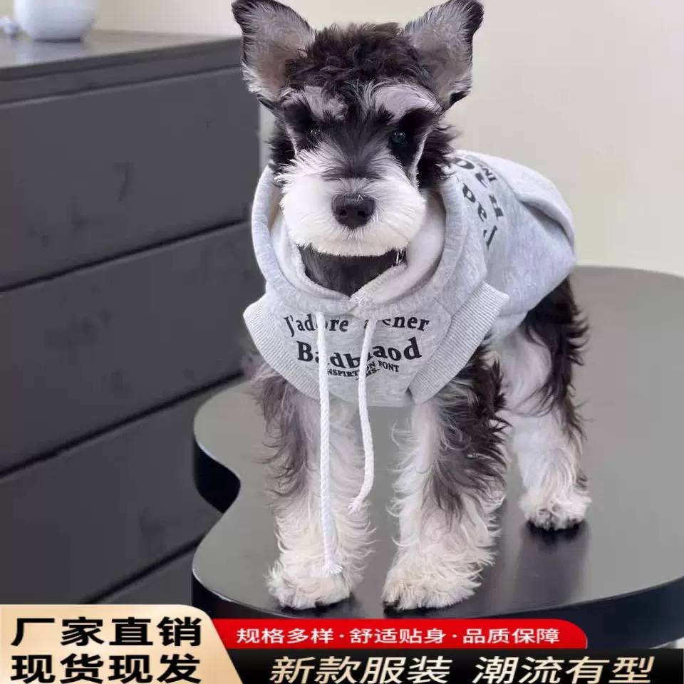 宠物衣服秋冬款连帽加厚保暖款卫衣时尚猫咪雪纳瑞西高地狗狗衣服