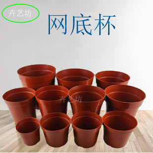 ���l���ϻ���ֱ߅�W����tɫ�A�������豭͸�����Gֲ�@ˇ