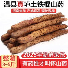 温县垆土地铁棍山药新鲜河南焦作怀山药铁杆淮山药1件1斤 5斤一箱