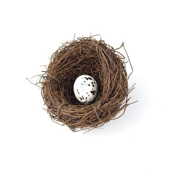 6 cm bird's nest 1 bird egg