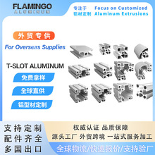 T-slot profile Anodizing Powder coating Polish Brush���I�X��