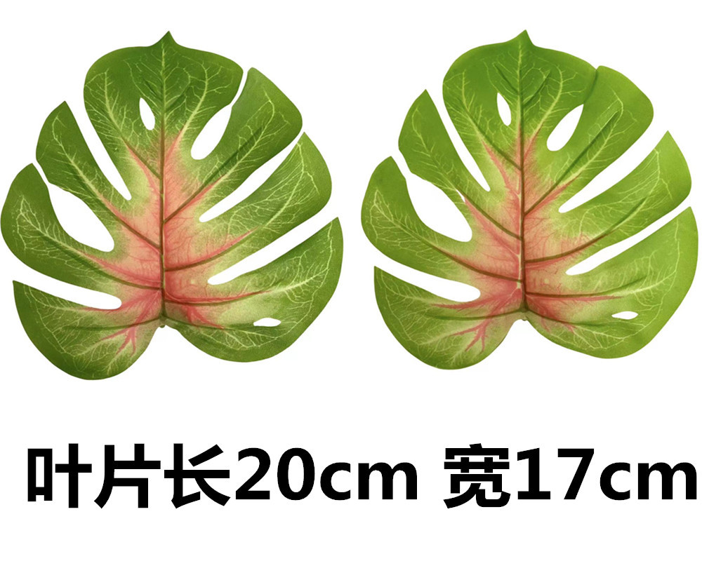 未命名_副本41