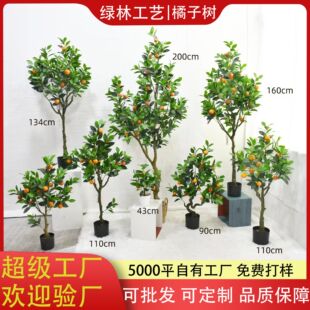 SֱNӘؔ[СԾ^Әٙʷ