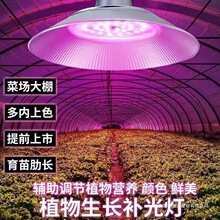 LEDֲ�����L�������ݮ�����߲˻�����ɫ����ȫ���V�t�{�����L