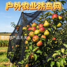 种植天网果园农业防鸟网机场防护网养殖专用网货源厂家代工