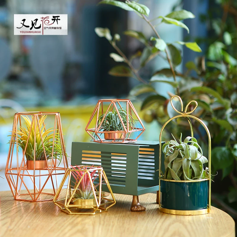 Воздух ананас завод железо креативный дом розы золотой держатель для держателя основания аксессуары несколько опциональных