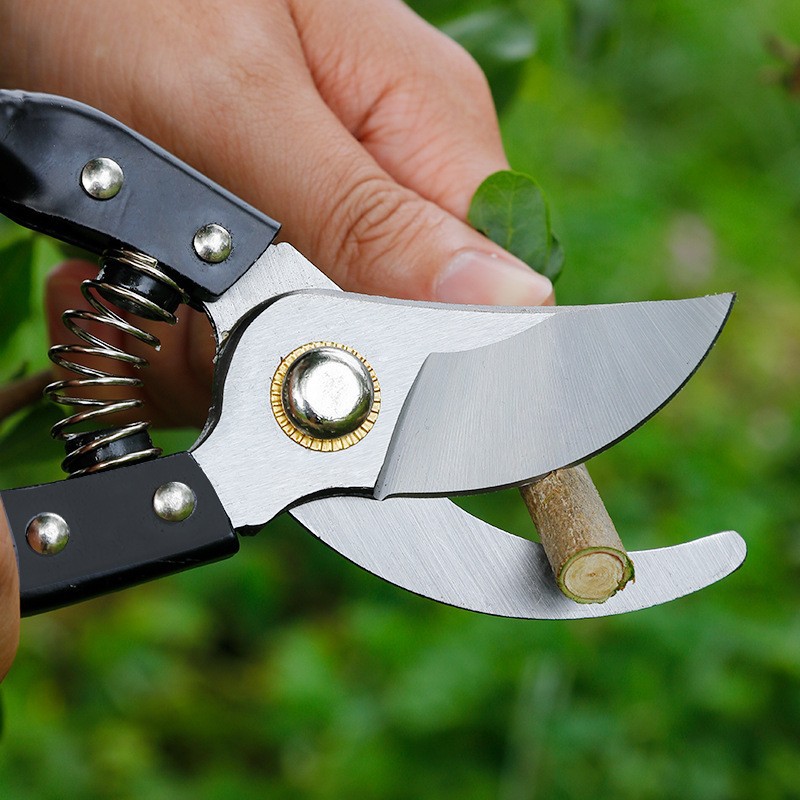 不锈钢修枝剪刀专业园林工具剪跨境园林果树剪家用盆栽花卉摘果剪